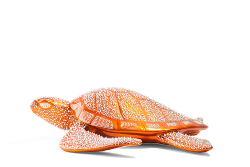 Turtle Orange